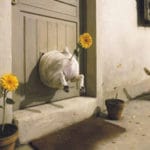 Испания г. Валенсия. Кот отомстил собаке ... январь 2007