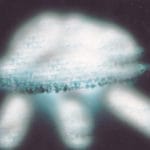 Структура, работающая с чумаком. 1.02.2007