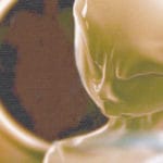 Гость - инопланетянин с планеты Нептун. глаза под жабрами. За инопланетянином видна планета. 2006