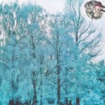 Летательные аппараты серых. Пермская зона