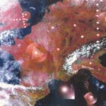 Пирамиды в Европе и Англии