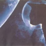 Цивилизация кошек. Кот в скафандре. Все рыжие коты служат в резидентуре.